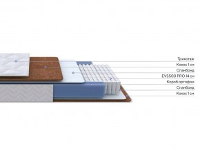 PROxSON Матрас Active F Roll (Ткань Трикотаж Эко) 120x195 в Сысерти - sysert.ok-mebel.com | фото 2