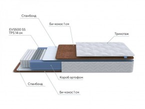 PROxSON Матрас Active F Roll (Ткань Трикотаж Эко) 140x200 в Сысерти - sysert.ok-mebel.com | фото 7