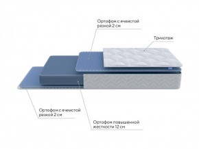 PROxSON Матрас Active Flex M (Ткань Трикотаж Эко) 120x195 в Сысерти - sysert.ok-mebel.com | фото 7