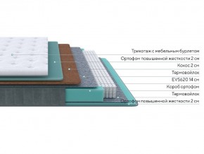 PROxSON Матрас Grace Firm (Трикотаж Prestige Latte) 120x220 в Сысерти - sysert.ok-mebel.com | фото 2