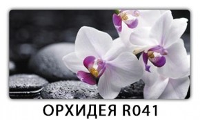 Раздвижной СТ Бриз орхидея R041 Доска D110 в Сысерти - sysert.ok-mebel.com | фото 19