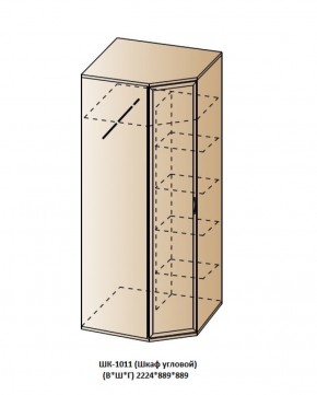 ШК-1011 (Шкаф угловой) в Сысерти - sysert.ok-mebel.com | фото