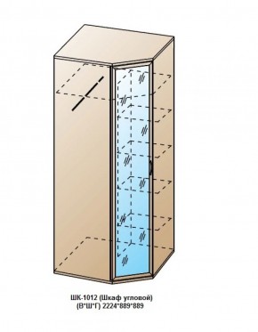 ШК-1012 (Шкаф угловой) в Сысерти - sysert.ok-mebel.com | фото
