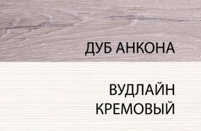 Шкаф 1DW, OLIVIA, цвет вудлайн крем/дуб анкона в Сысерти - sysert.ok-mebel.com | фото 3