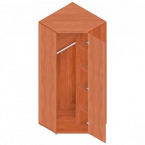 Шкаф для одежды "Референт" Р.Ш-10 в Сысерти - sysert.ok-mebel.com | фото