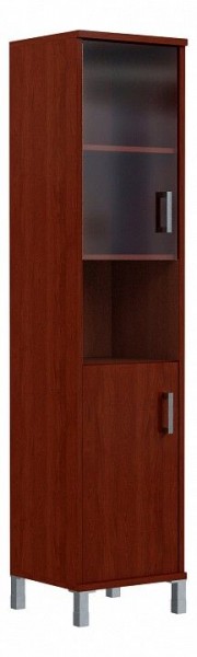 Шкаф комбинированный Born B 431.10(R) в Сысерти - sysert.ok-mebel.com | фото