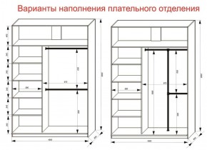 Шкаф-купе 1600 серии SOFT D6+D6+B2+PL3 (2 ящика+2штанги) профиль «Капучино» в Сысерти - sysert.ok-mebel.com | фото 7