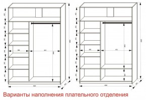 Шкаф-купе 1600 серии SOFT D6+D6+B2+PL3 (2 ящика+2штанги) профиль «Капучино» в Сысерти - sysert.ok-mebel.com | фото 8