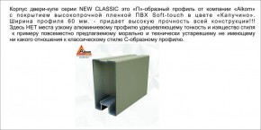 Шкаф-купе 1700 серии NEW CLASSIC K3+K3+B2+PL1 (2 ящика+1 штанга) профиль «Капучино» в Сысерти - sysert.ok-mebel.com | фото 5