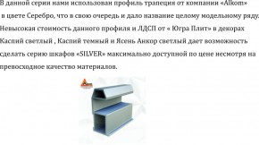 Шкаф-купе 2250 серии SILVER S3+S1+S3Z B22+PL2 (по 2 ящика лев/прав+1штанга+1 полка) профиль «Серебро» в Сысерти - sysert.ok-mebel.com | фото 4