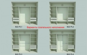 Шкаф-купе 2450 серии NEW CLASSIC K6Z+K1+K6+B22+PL2 (по 2 ящика лев/прав+1 штанга+1 полка) профиль «Капучино» в Сысерти - sysert.ok-mebel.com | фото 6