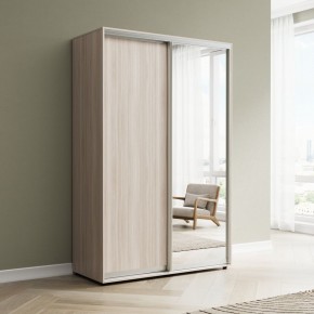 Шкаф-купе Акцент-Сим ДЗ 1200-600 в Сысерти - sysert.ok-mebel.com | фото 6