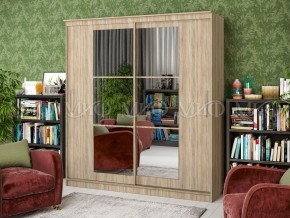 ЭЛЕГАНТ-3 Шкаф-купе в Сысерти - sysert.ok-mebel.com | фото 2