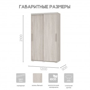 Шкаф-купе ШКК-11 (ясень белый) в Сысерти - sysert.ok-mebel.com | фото 7