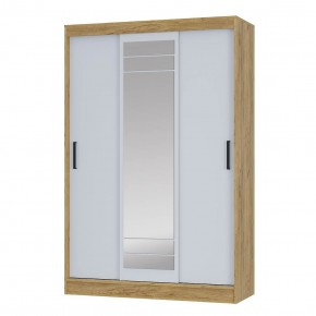 Шкаф-купе Тео ШКК-02 (крафт/белый) в Сысерти - sysert.ok-mebel.com | фото 2