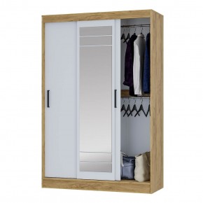 Шкаф-купе Тео ШКК-02 (крафт/белый) в Сысерти - sysert.ok-mebel.com | фото 3