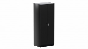 Шкаф ПЕГАС двухдверный, цвет Дуб Венге в Сысерти - sysert.ok-mebel.com | фото