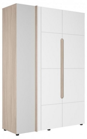 Шкаф платяной Данк в Сысерти - sysert.ok-mebel.com | фото