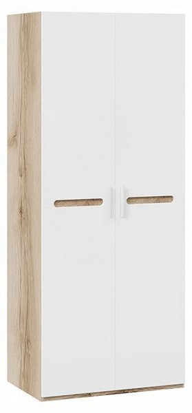 Шкаф платяной Фьюжн ТД-260.07.02 в Сысерти - sysert.ok-mebel.com | фото