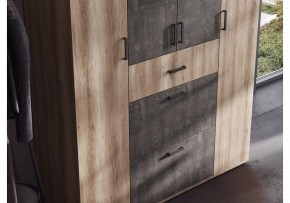 Шкаф платяной Паркинс в Сысерти - sysert.ok-mebel.com | фото 3