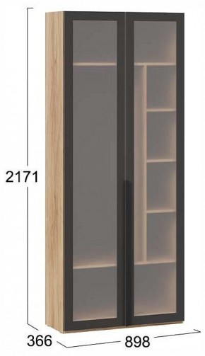 Шкаф платяной Порто СМ-393.07.226 в Сысерти - sysert.ok-mebel.com | фото 4