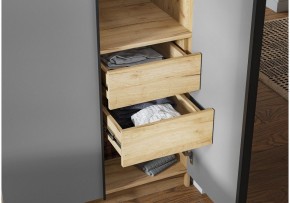 Шкаф платяной Широн в Сысерти - sysert.ok-mebel.com | фото 3