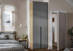 Шкаф платяной Широн в Сысерти - sysert.ok-mebel.com | фото 4