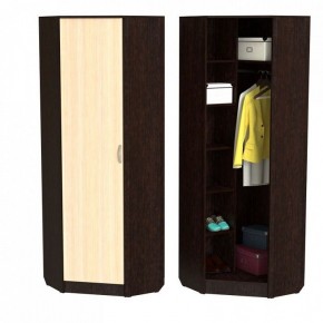 Шкаф платяной ШП-10 в Сысерти - sysert.ok-mebel.com | фото 2