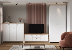 Шкаф платяной Теодора в Сысерти - sysert.ok-mebel.com | фото 4