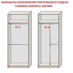 Шкаф распашной серия «ЗЕВС» (PL3/С1/PL2) в Сысерти - sysert.ok-mebel.com | фото 10