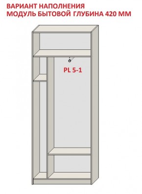 Шкаф распашной серия «ЗЕВС» (PL3/С1/PL2) в Сысерти - sysert.ok-mebel.com | фото 4