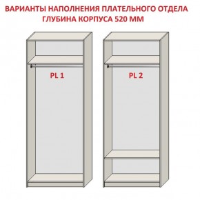 Шкаф распашной серия «ЗЕВС» (PL3/С1/PL2) в Сысерти - sysert.ok-mebel.com | фото 9