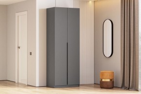 Шкаф ШК-5 + 2 полки (800) Графит серый в Сысерти - sysert.ok-mebel.com | фото 2