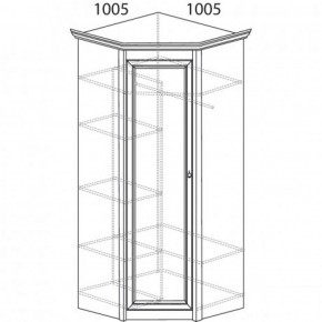 Шкаф угловой №662 "Флоренция" Фасад глухой (угол 1005*1005) Дуб оксфорд в Сысерти - sysert.ok-mebel.com | фото 3