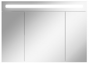 Шкаф-зеркало Аврора 100 с подсветкой LED Домино (DV8012HZ) в Сысерти - sysert.ok-mebel.com | фото 1