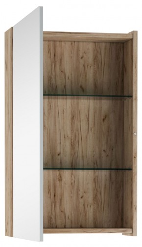 Шкаф-зеркало Craft 45 левый/правый Домино (DCr2211HZ) в Сысерти - sysert.ok-mebel.com | фото 2