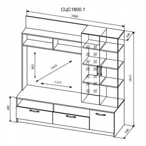 СОФИ Гостиная (модульная) дуб сонома/белый глянец в Сысерти - sysert.ok-mebel.com | фото 9