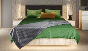 Спальня Джулия Кровать 160 МИ с подъемным механизмом Дуб крафт серый в Сысерти - sysert.ok-mebel.com | фото 4