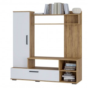 Гостиная Евро 2 (крафт/белый) в Сысерти - sysert.ok-mebel.com | фото 3