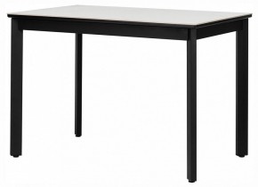 Стол обеденный Айлин 2Р в Сысерти - sysert.ok-mebel.com | фото