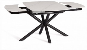 Стол обеденный Winston в Сысерти - sysert.ok-mebel.com | фото 4