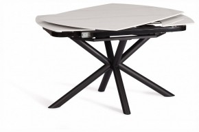 Стол обеденный Winston в Сысерти - sysert.ok-mebel.com | фото 5
