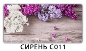 Стол раздвижной Трилогия с фотопечатью Доска D110 в Сысерти - sysert.ok-mebel.com | фото 16