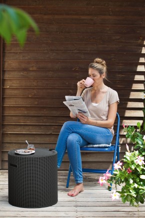 Столик-холодильник Кул-Стул (Cool stool) графит в Сысерти - sysert.ok-mebel.com | фото