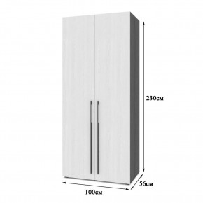 СТОУН С21 Шкаф 2-х створчатый (серый дуб/белый) в Сысерти - sysert.ok-mebel.com | фото 2