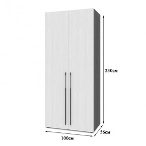 СТОУН С22 Шкаф 2-х створчатый (серый дуб/белый) в Сысерти - sysert.ok-mebel.com | фото 2