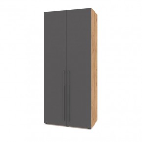 СТОУН С22 Шкаф 2-х створчатый (золотой дуб/графит) в Сысерти - sysert.ok-mebel.com | фото