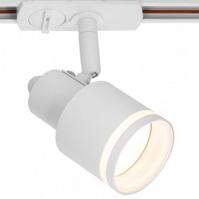 Светильник на штанге Citilux Bruno CL565T10 в Сысерти - sysert.ok-mebel.com | фото 2