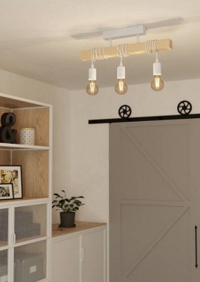Светильник на штанге Eglo TOWNSHEND 44082 в Сысерти - sysert.ok-mebel.com | фото 2