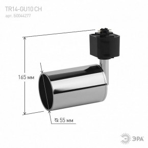 Светильник на штанге Эра  TR14-GU10 CH в Сысерти - sysert.ok-mebel.com | фото 4